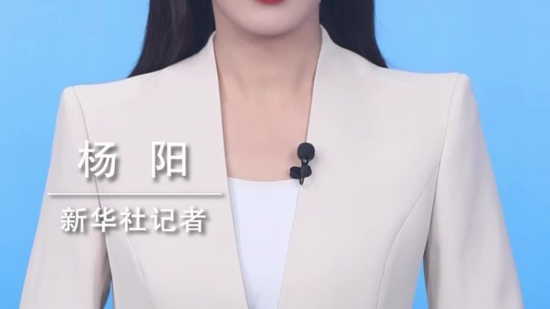 Nacos配置中心：揭秘其优势与潜在挑战