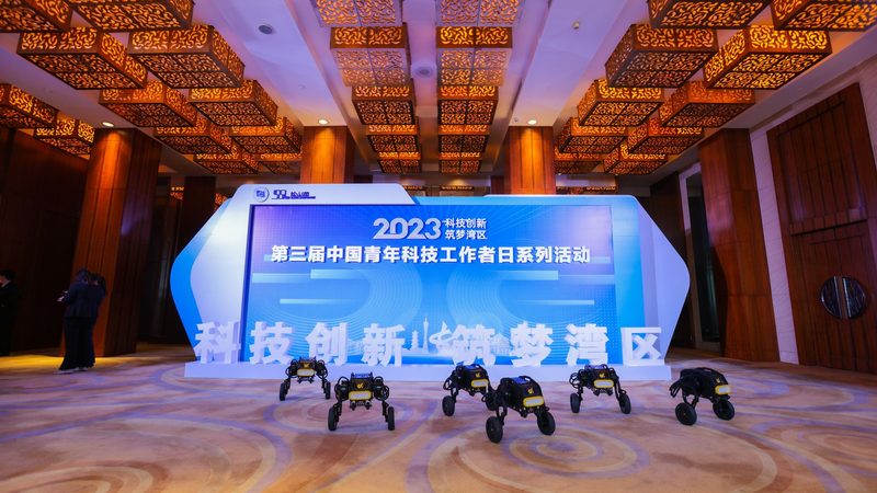 成都APP研发外包，如何选择性价比之选？**